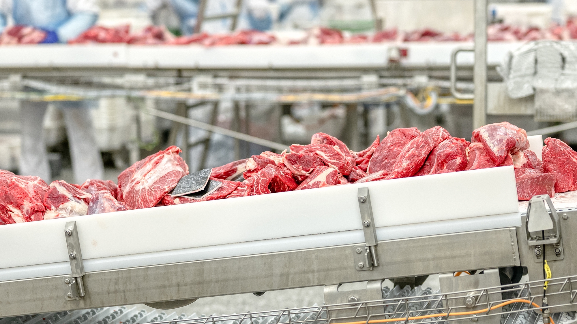 beef_cuts_on_conveyor_belt_ Getty_Images